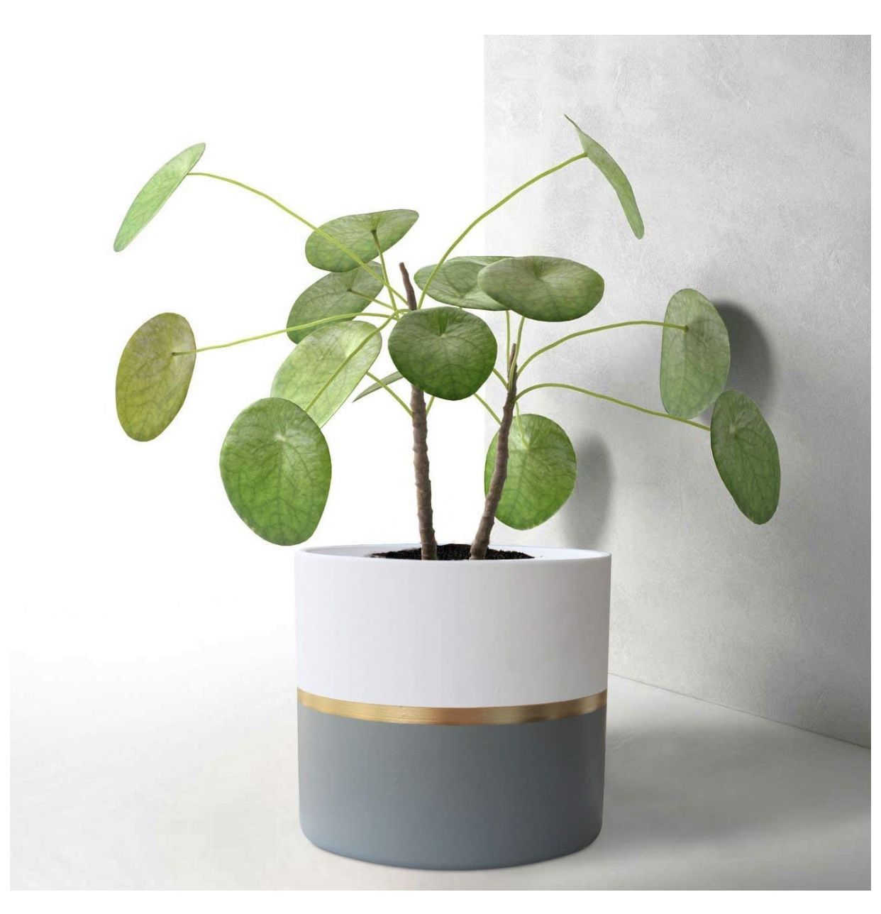 Modern ceramic flower pot