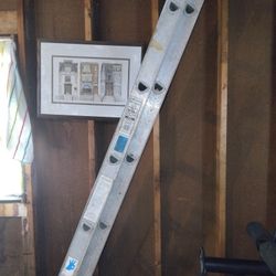 Ladder 20 Feet