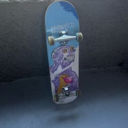 Skate Board
