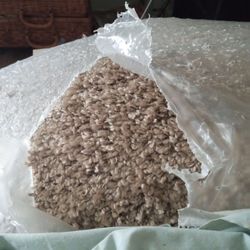 New  10'x13' Main Stay Rug / With Backing  Maverick Brown