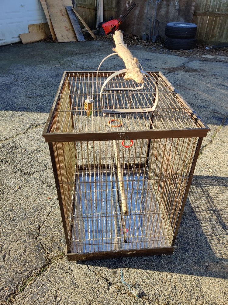 Free bird cage south Elgin