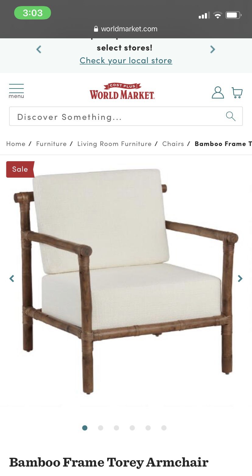 Bamboo Frame Torey Armchair from World Market - Brand New!