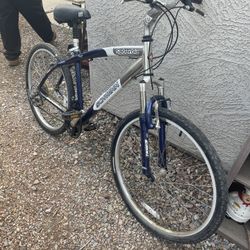 Cruiser Schwinn Bike 