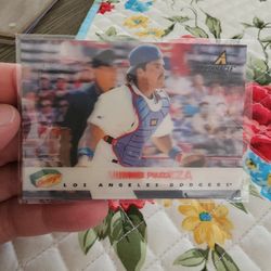 Mike Piazza Los Angeles Dodgers Baseball Cards Lot 