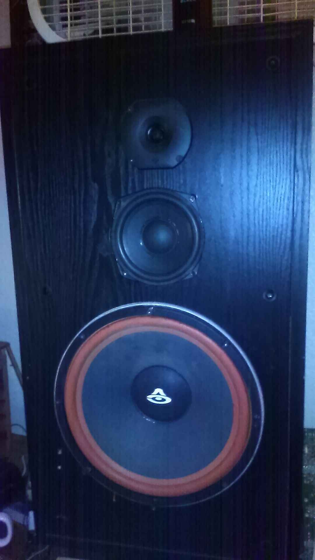 Cerwin Vega House Speaker