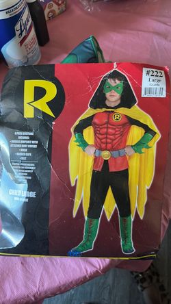 Robin costume