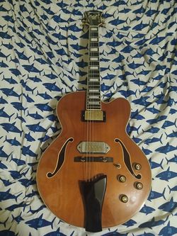 Ibanez Artcore Expressionist AF95 Hollow Body Electric Guitar