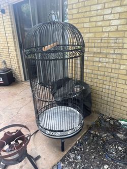 Bird cage