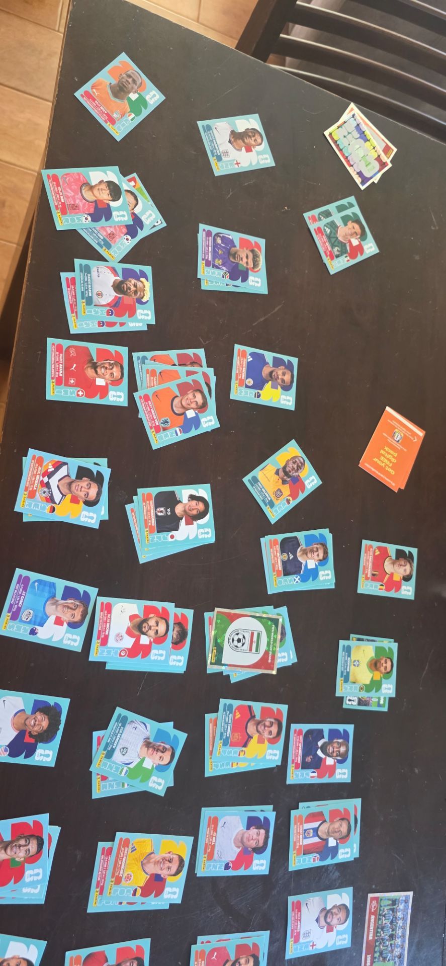 Panini fifa world cup