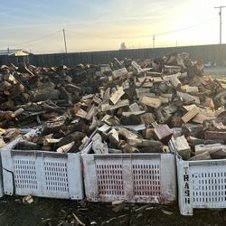Firewood 