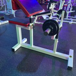 Preacher Curl With Seat