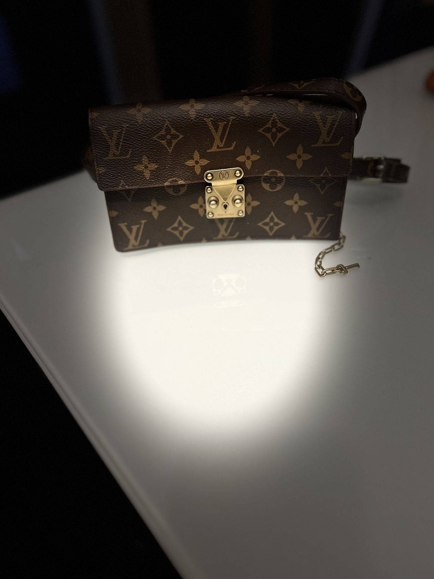 Louis Vuitton Bag