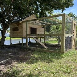 Custom Chicken Coop