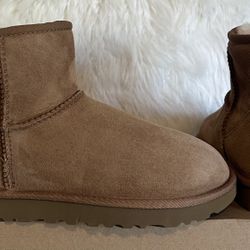 Ugg Boots ☺️ Diferentes Precios