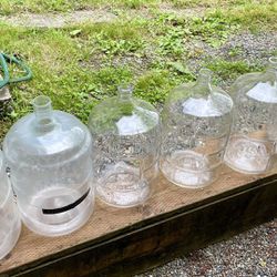 Six Carboys And Brush (5-7gal)