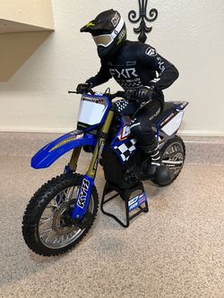 Rc Dirtbike (Team Losi) “ProMoto MX” RTR