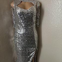 Gorgeous Branded Silver Sparkly Dress (retail price $100)