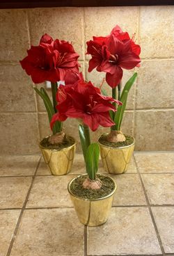 Artificial Amaryllis Plant In Gold Pot