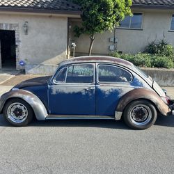 1967 Vw Bug 