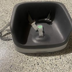 Ingenuity Booster Seat