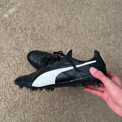 Puma Kings
