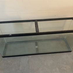 Fish Tank