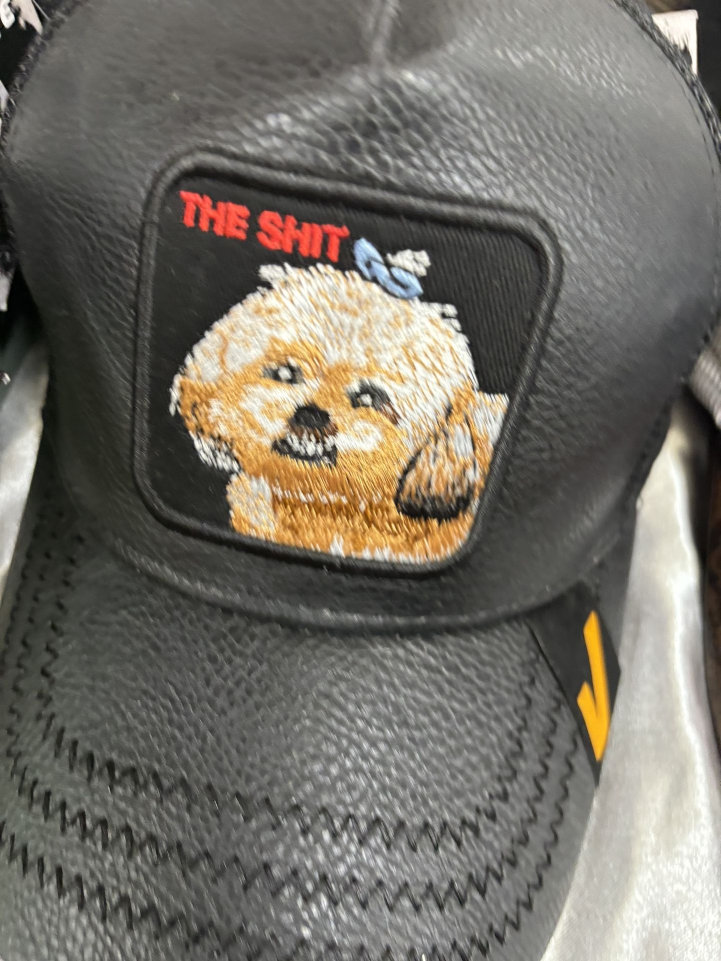 The Shit Shitzoo Dog