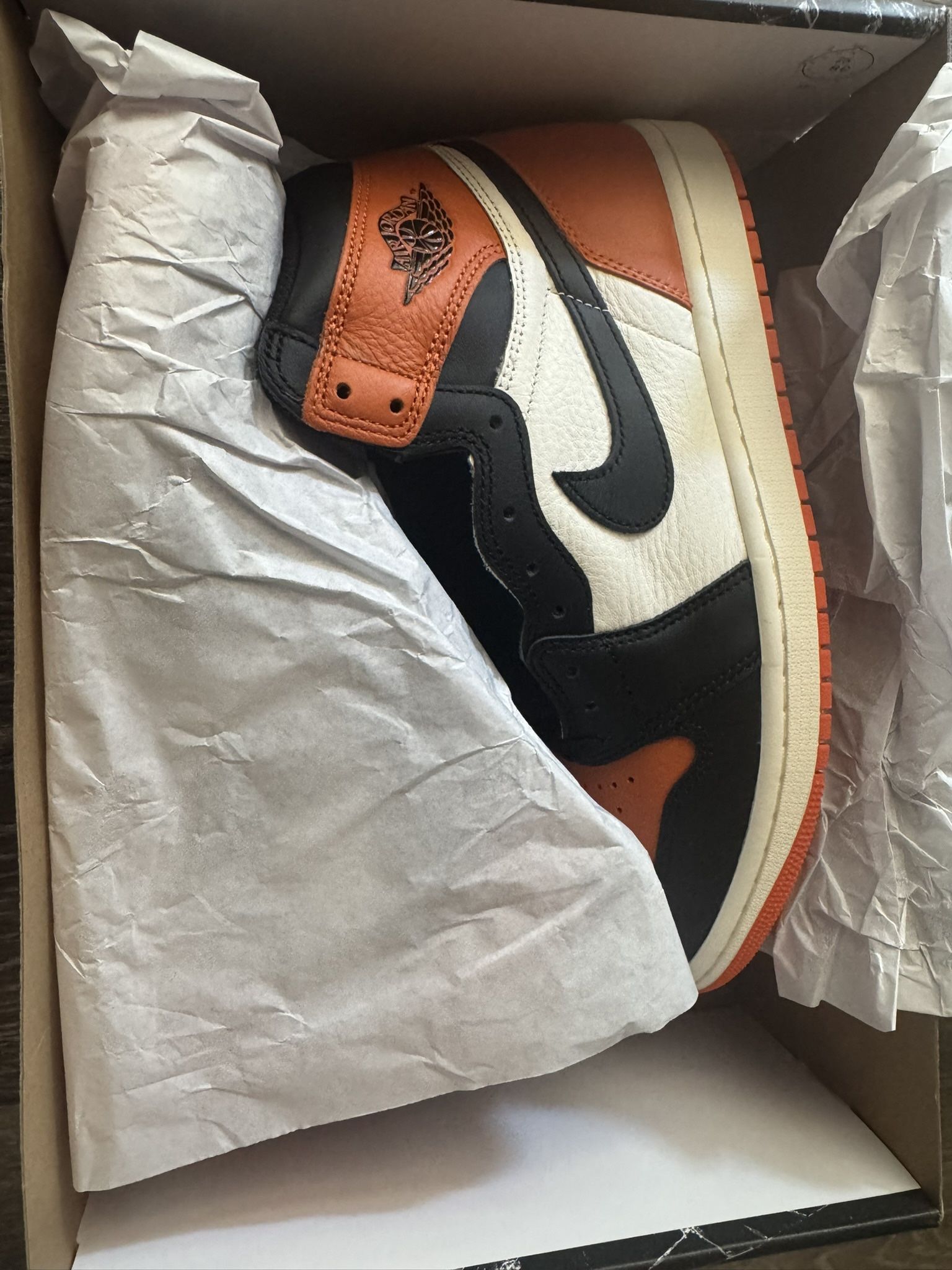 Jordan 1 SBB 2025