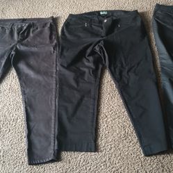 Women's Size 16 Pants Different Designs 20.00all 3 Pairs Pick Up In Florence Ky 