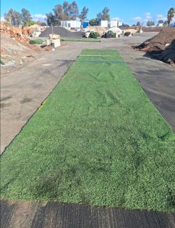 Alpine- artificial grass used $150 ea