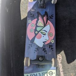 Birdhouse Skateboard New 70$ 
