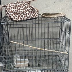 Bird Cage 