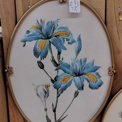Oval Floral Print- Located In Shelton 