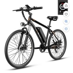 Electric Bike