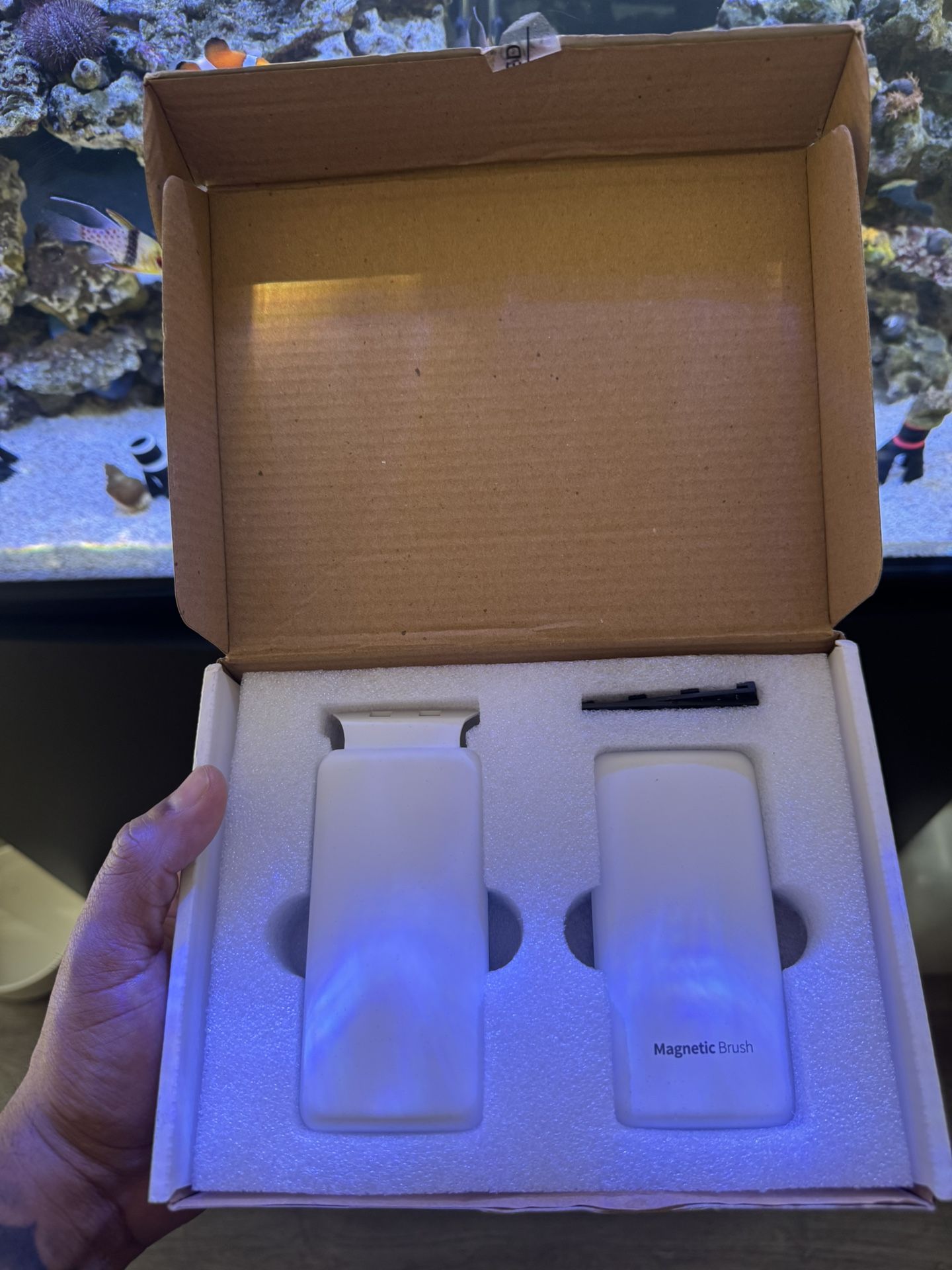 Algae Scrapper For Fish Tank