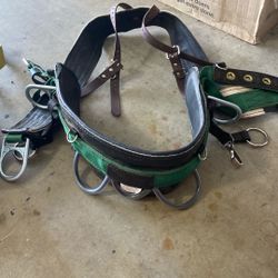 Buckingham 4-Dee Economy Arborist Saddle