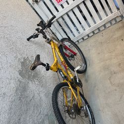 Mountain Bike