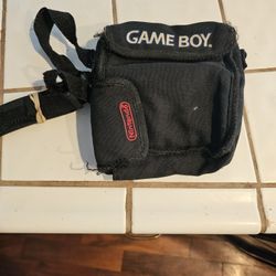 Vintage Gameboy Case 