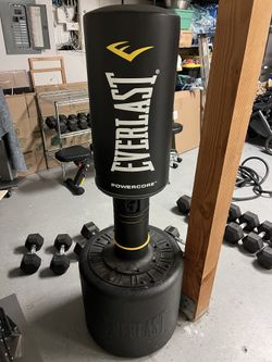 Everlast Powercore punching bag