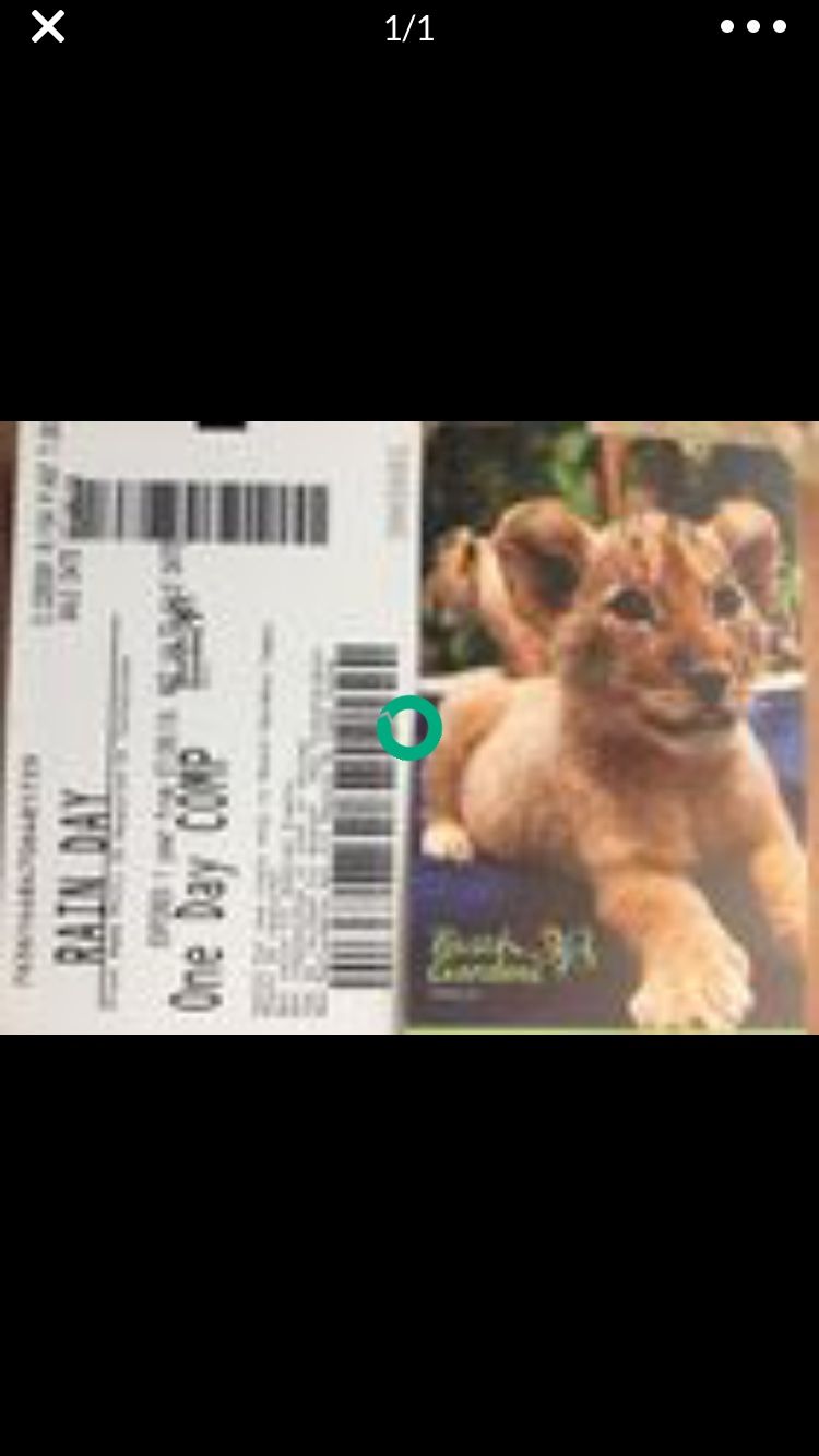 1 Busch Gardens ticket