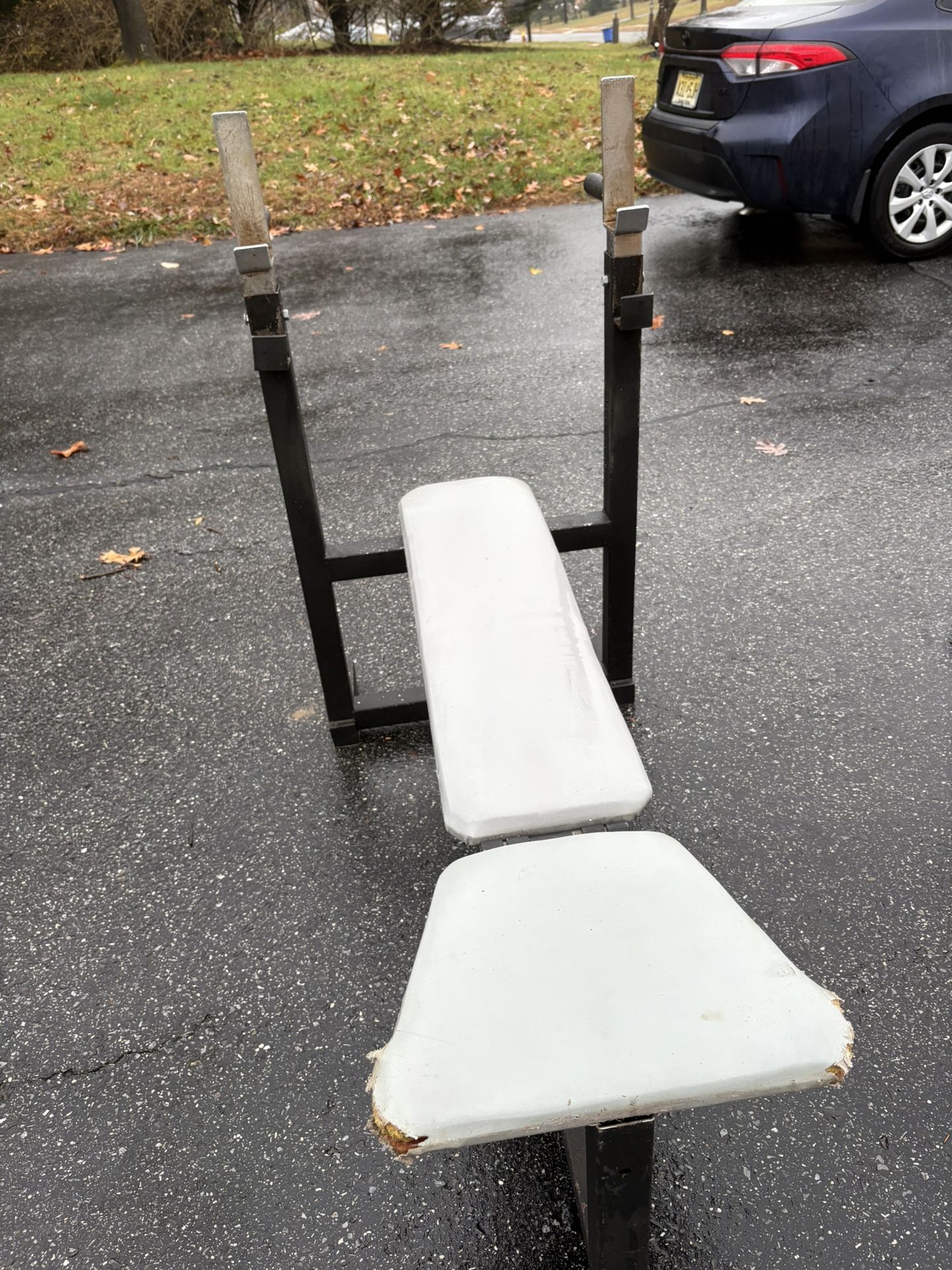 Bench Press 