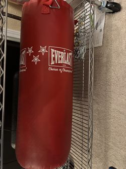 Everlast Punching Bag Like New  With Boxing Gloves And Head Protection Etc 