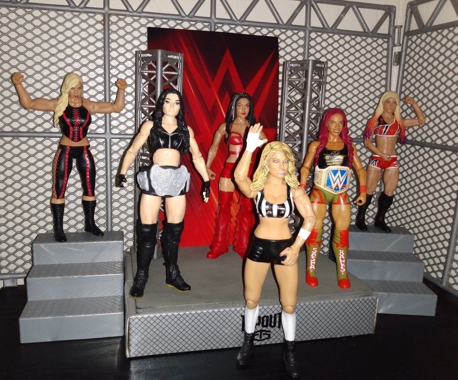 Lot 6 WWE Women's Action Figures