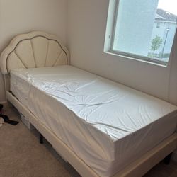 Twin Platform Bed (mattress Not Included)