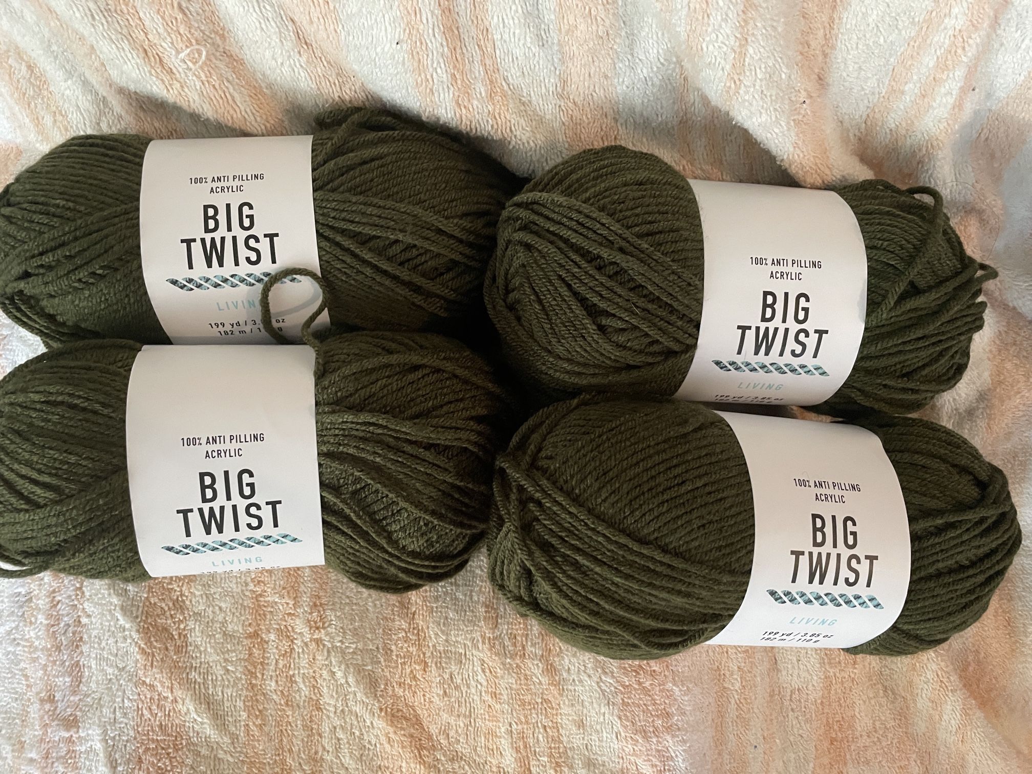 4 Skeins Big Twist Yarn Color: Pine Green