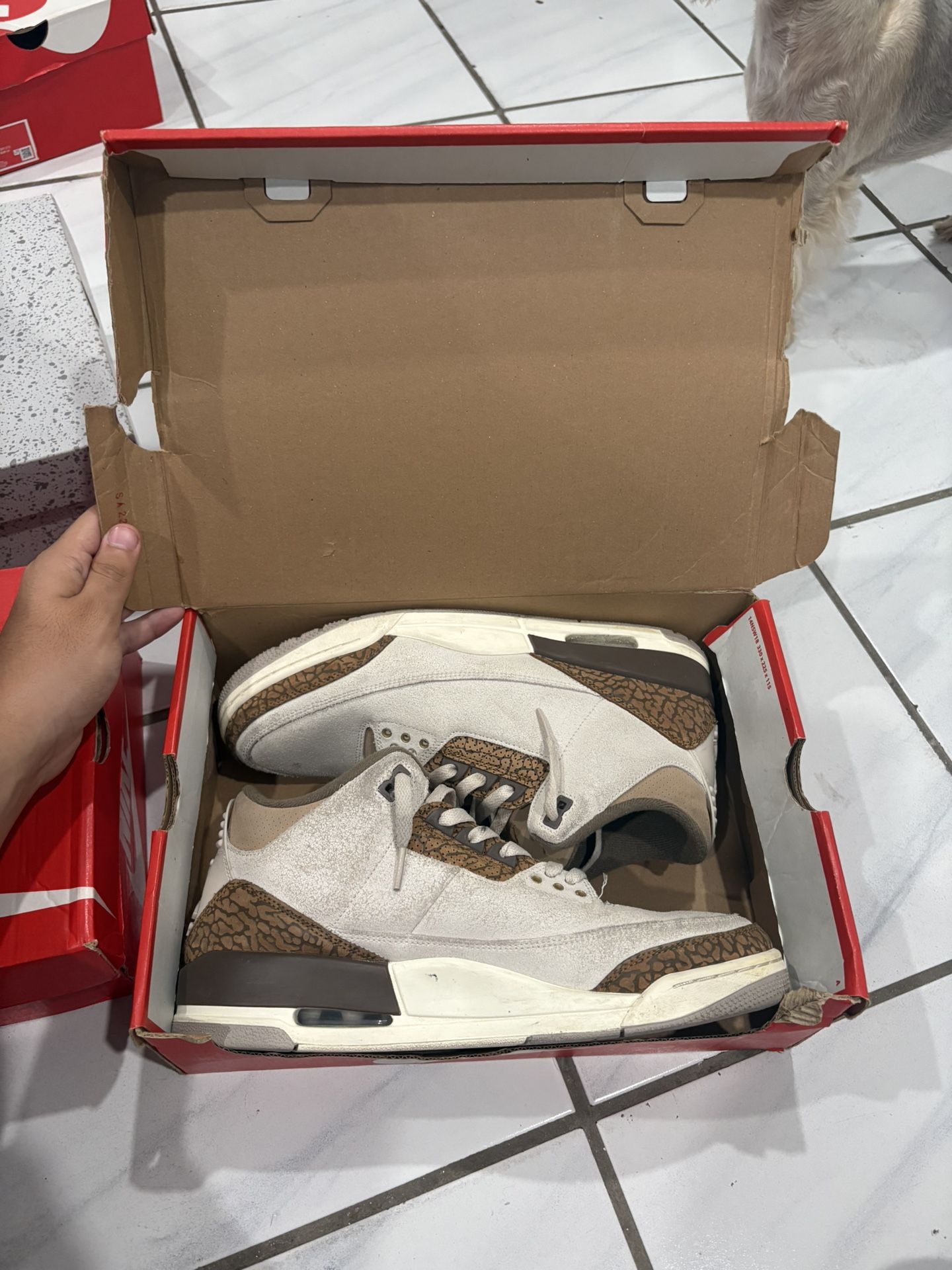 air jordan 3