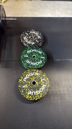 Rogue bumper plates 15-55s