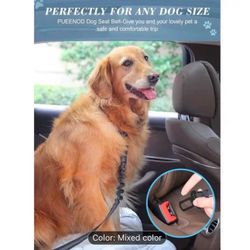 Leather Dog Training Leash 6 Foot - Military Grade Heavy Duty Dog Leash for Large Medium Small Dogs (Brown, M:5/8" x 6ft) 