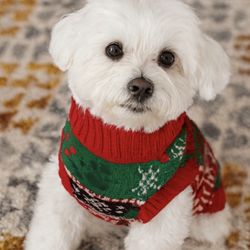 DOG CHRISTMAS SWEATER