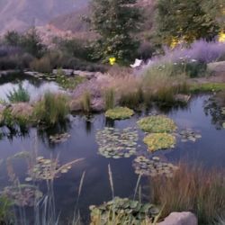 Pond Maintenance And Repairs